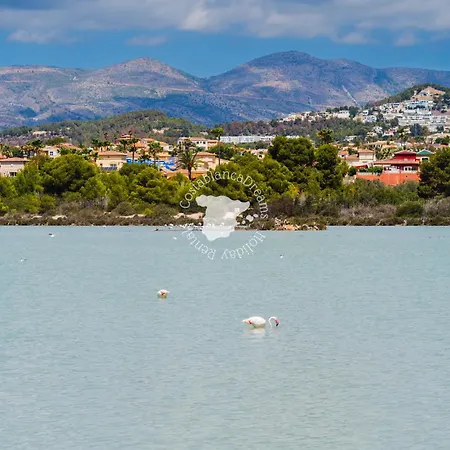 Daire Costablancadreams Apolo 12 4e In Calp